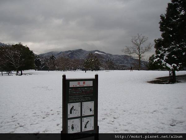 DSC06228.JPG DSC06228.JPG