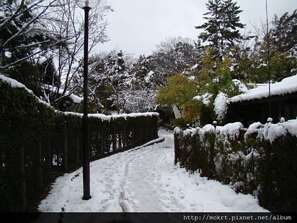 DSC06236.JPG DSC06236.JPG