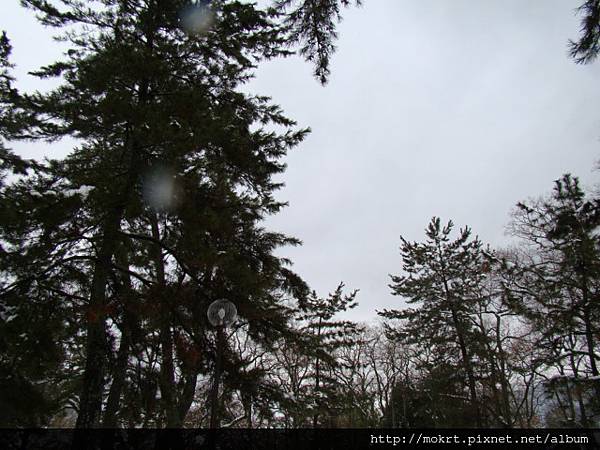 DSC06238.JPG DSC06238.JPG