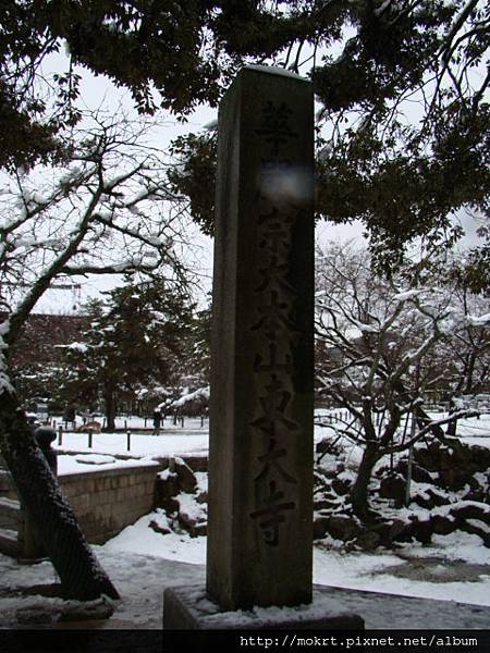 DSC06240.JPG DSC06240.JPG