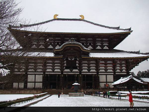 DSC06261.JPG DSC06261.JPG