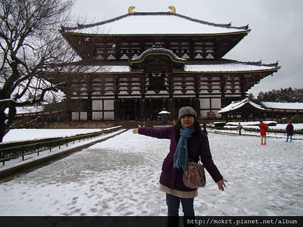 DSC06264.JPG DSC06264.JPG