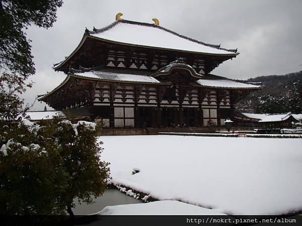 DSC06257.JPG DSC06257.JPG