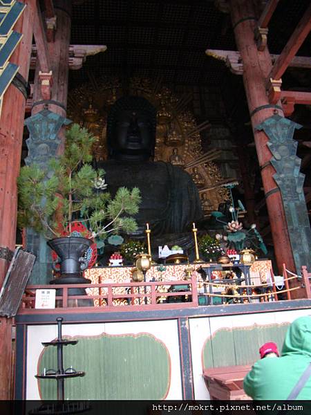 DSC06269.JPG DSC06269.JPG