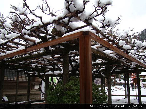 DSC06288.JPG DSC06288.JPG