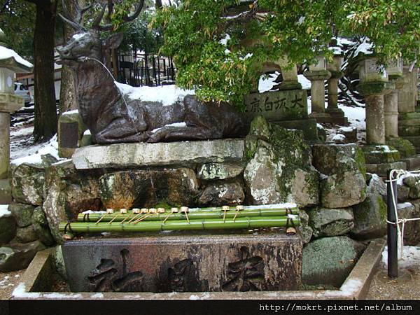 DSC06291.JPG DSC06291.JPG