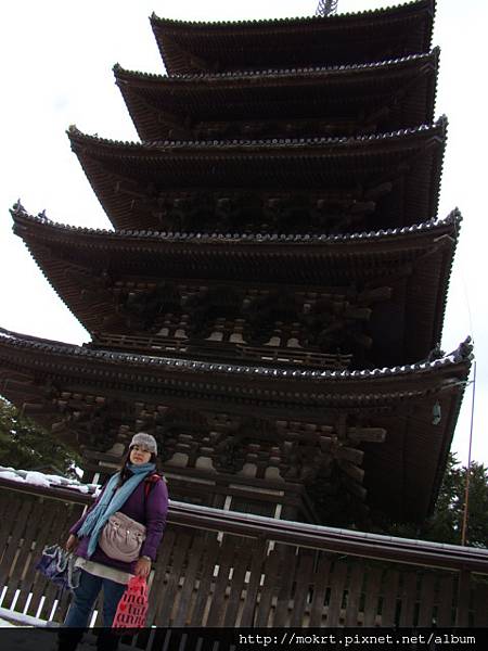 DSC06319.JPG DSC06319.JPG