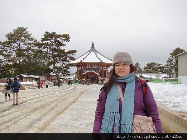 DSC06327.JPG DSC06327.JPG