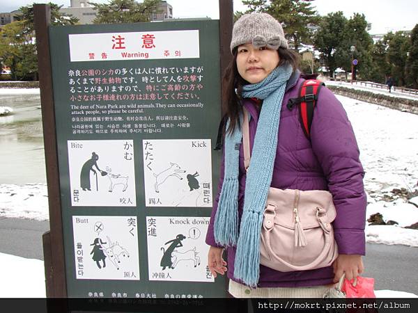 DSC06334.JPG DSC06334.JPG