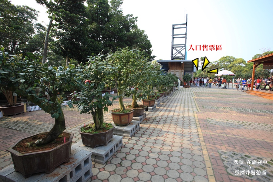 彰化猴探井 天空之橋