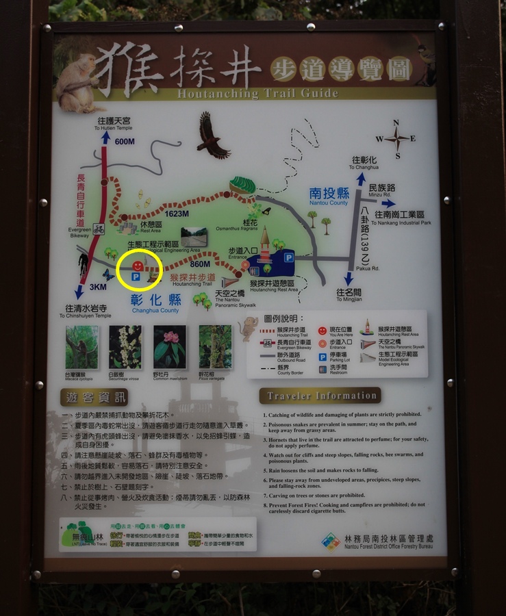 彰化猴探井 天空之橋