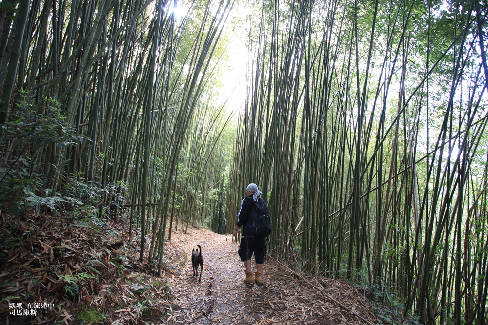 司馬庫斯兩天一夜行程