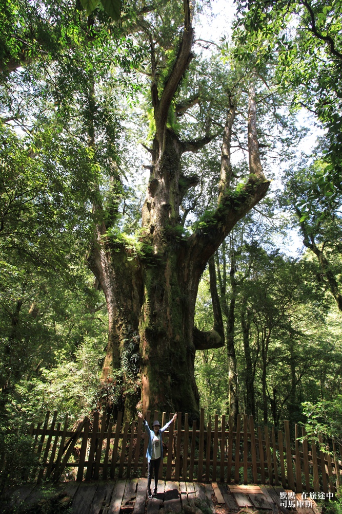 司馬庫斯兩天一夜行程