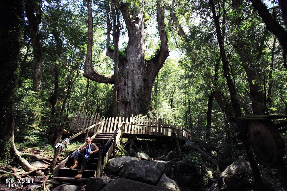 司馬庫斯兩天一夜行程