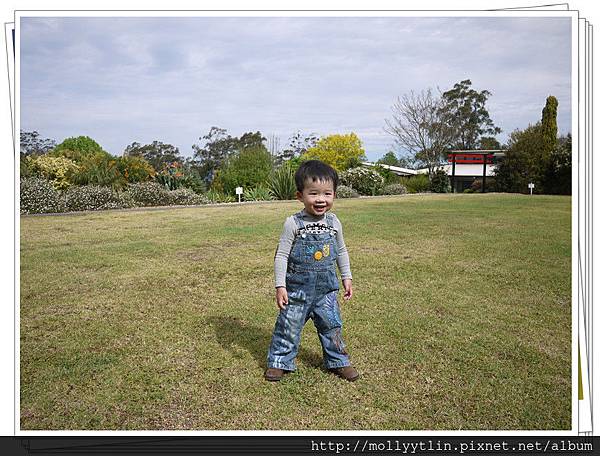 P1070927_副本 P1070927_副本