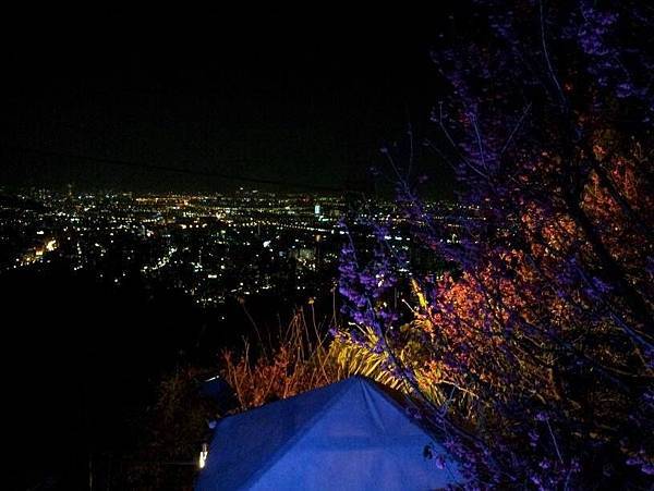 14813_1494276557465306_1006579262_n[1]