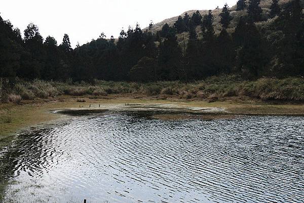 P1080854_副本 P1080854_副本