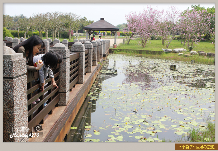 都會公園_瓦城10