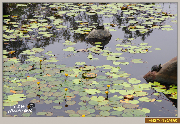 都會公園_瓦城12