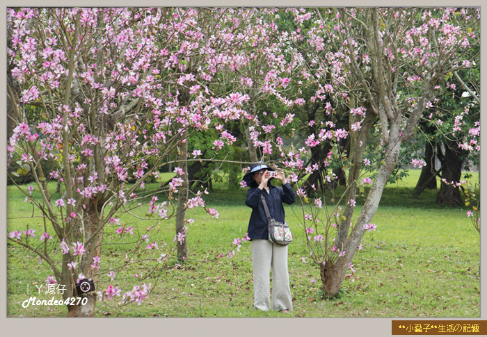 都會公園_瓦城13