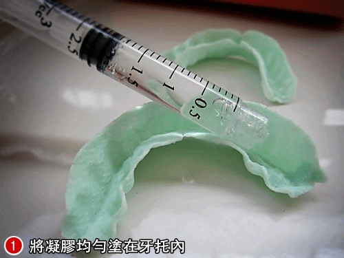 Protis普麗斯-16.gif Protis普麗斯-16.gif