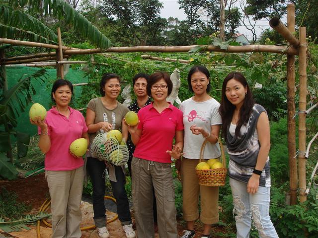 DSC09935 (Small).JPG DSC09935 (Small).JPG