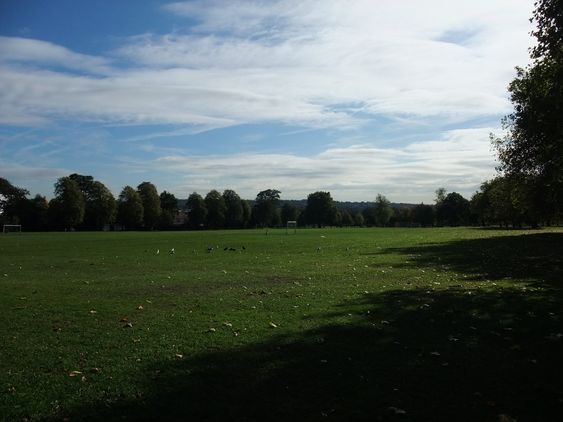 DSCF1316.JPG DSCF1316.JPG