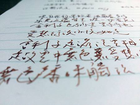 P_20130512_220243 - 複製 P_20130512_220243 - 複製