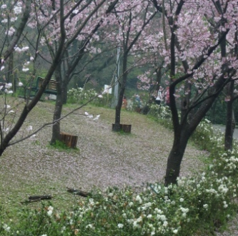 陽明山14.JPG 陽明山14.JPG