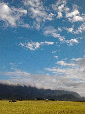 2011-11-05 15.56.34.jpg