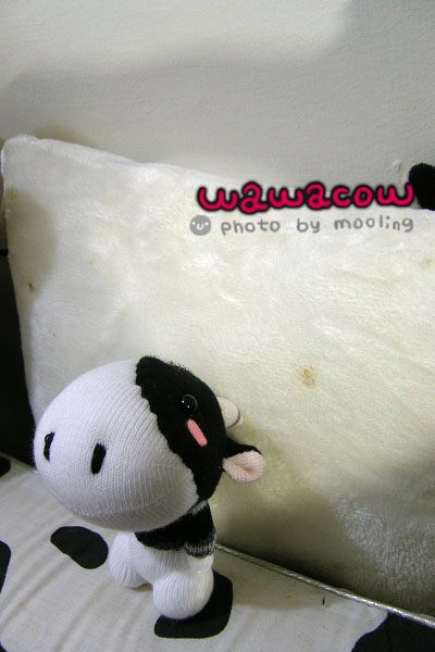 PA280064.jpg PA280064.jpg