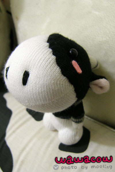 PA280066.jpg PA280066.jpg