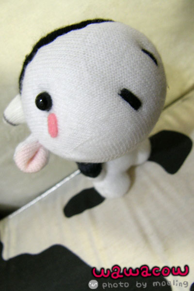 PA280068.jpg PA280068.jpg