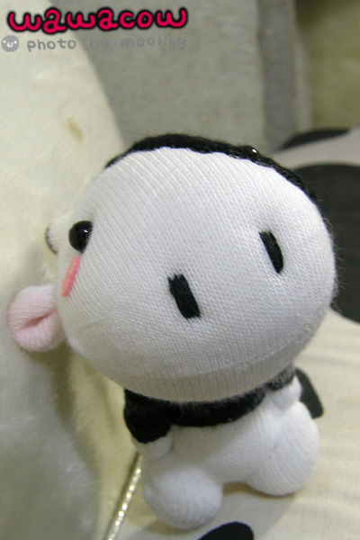 PA280078.jpg PA280078.jpg