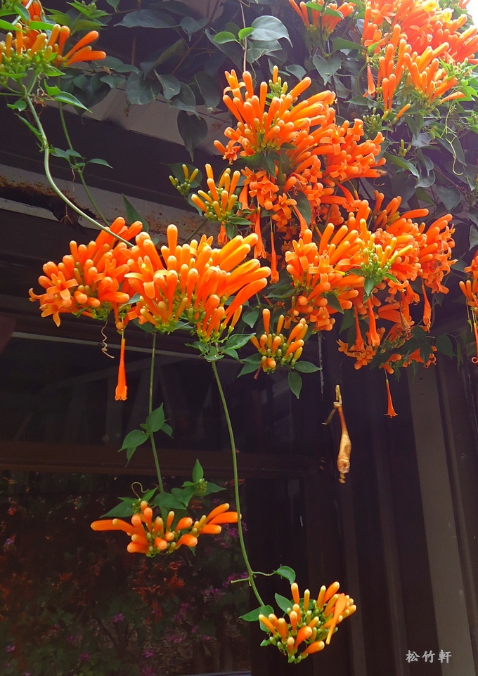 DSC03282.JPG DSC03282.JPG