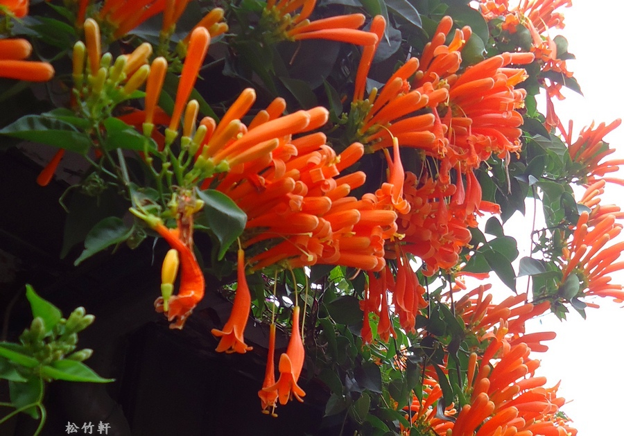 DSC03283.JPG DSC03283.JPG