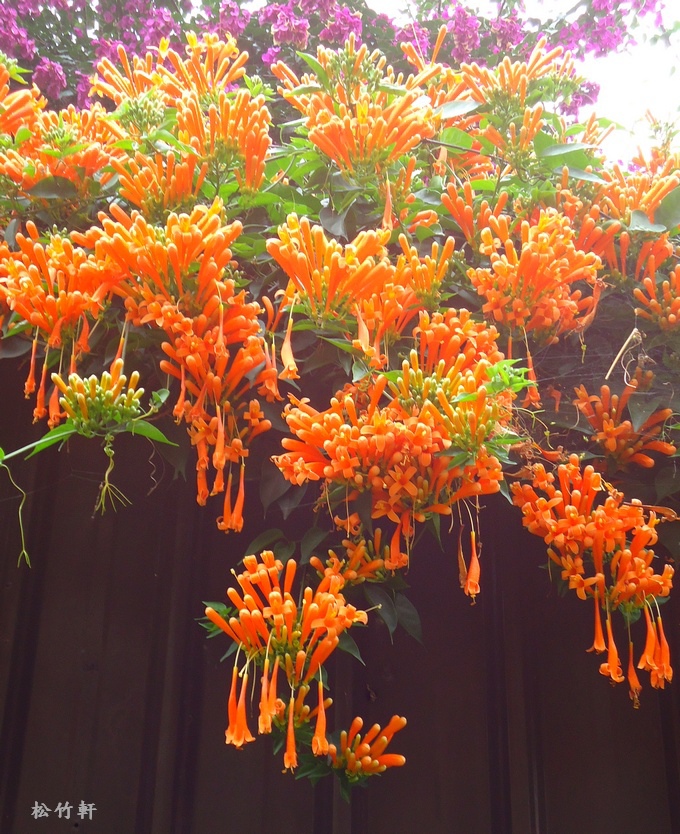 DSC03284.JPG DSC03284.JPG