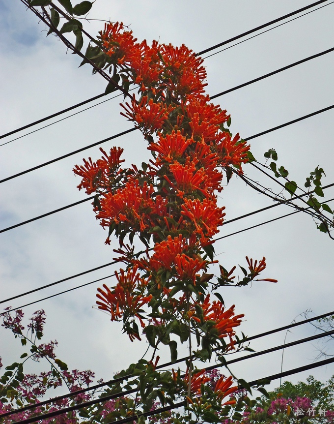 DSC03286.JPG DSC03286.JPG