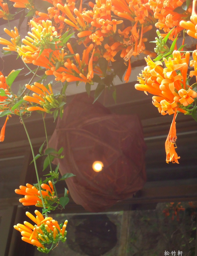 DSC03292.JPG DSC03292.JPG