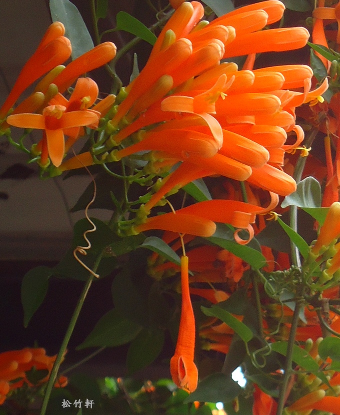 DSC03296.JPG DSC03296.JPG