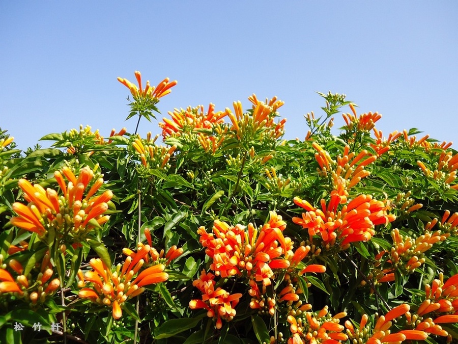 DSC01844.JPG DSC01844.JPG