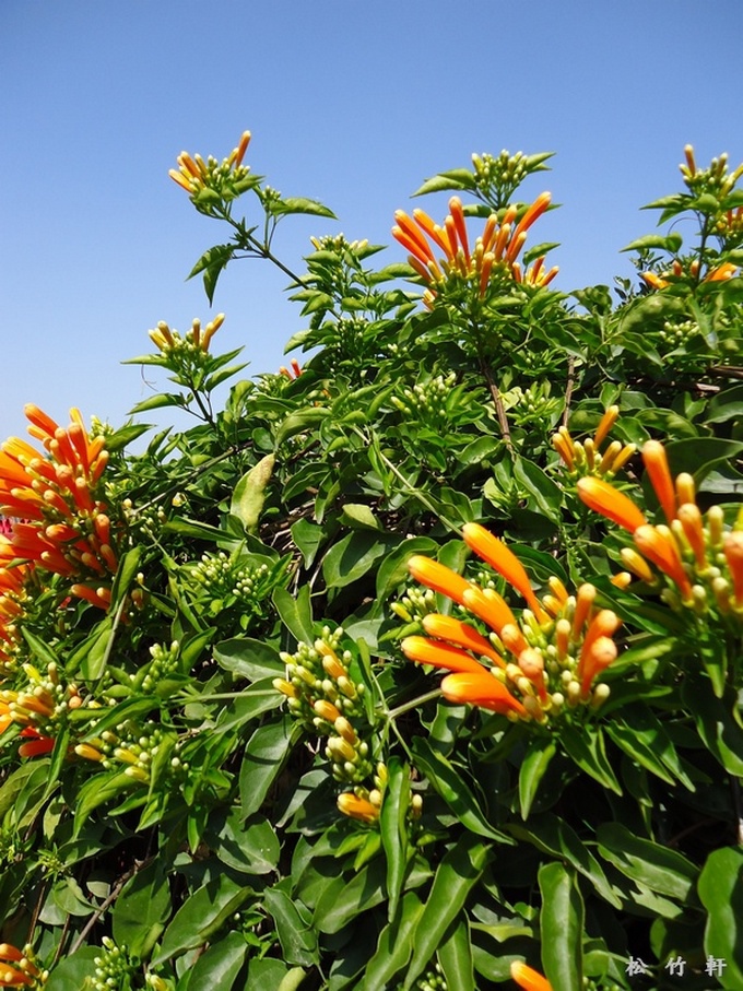 DSC01848.JPG DSC01848.JPG