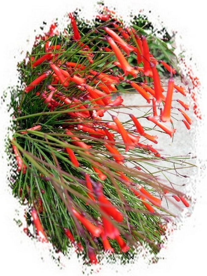 753644953_m 753644953_m