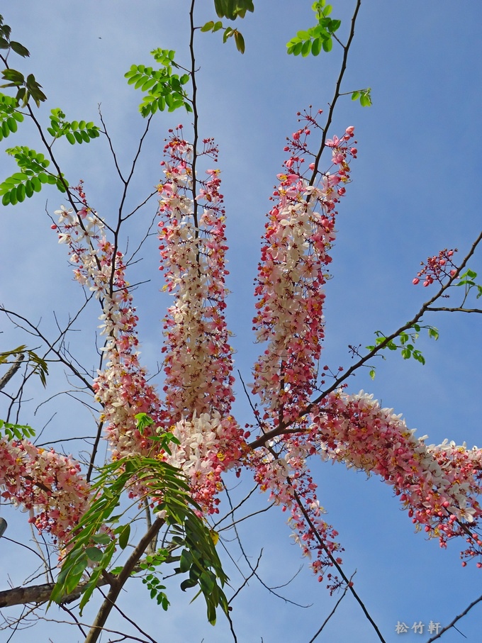 DSC04628.JPG DSC04628.JPG