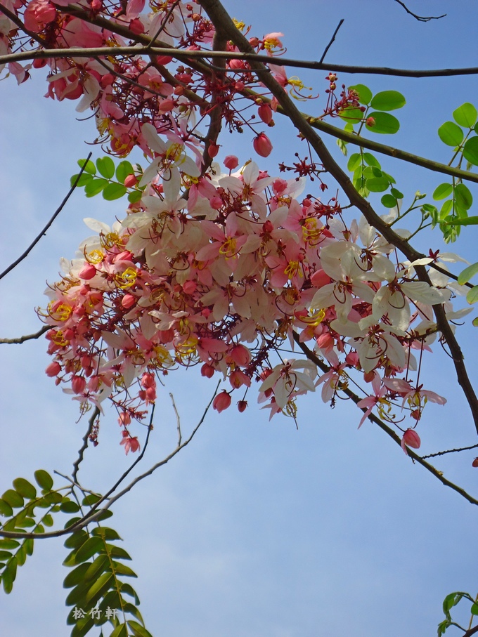 DSC04636.JPG DSC04636.JPG