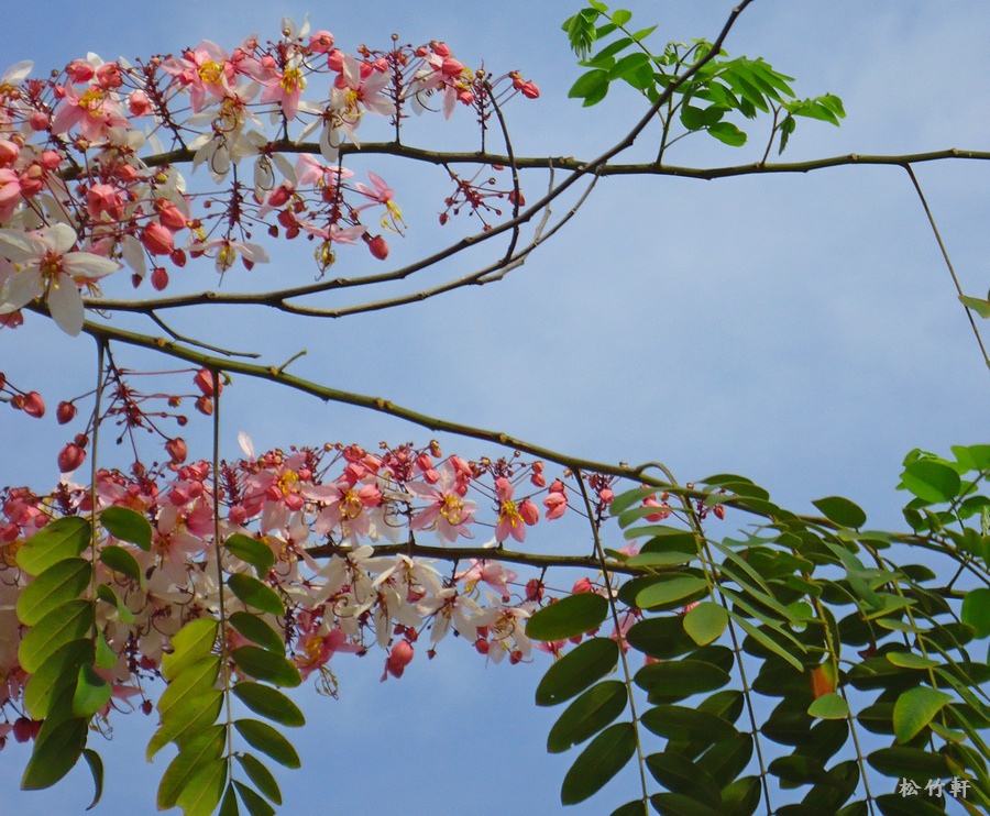 DSC04640.JPG DSC04640.JPG