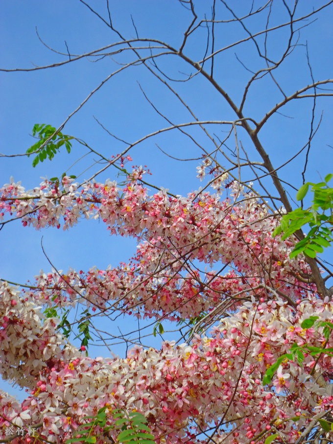 DSC04641.JPG DSC04641.JPG