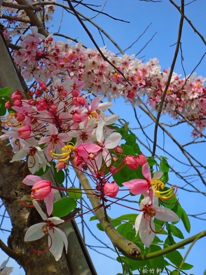 DSC04643.JPG DSC04643.JPG