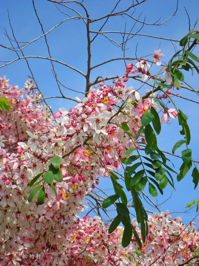 DSC04647.JPG DSC04647.JPG