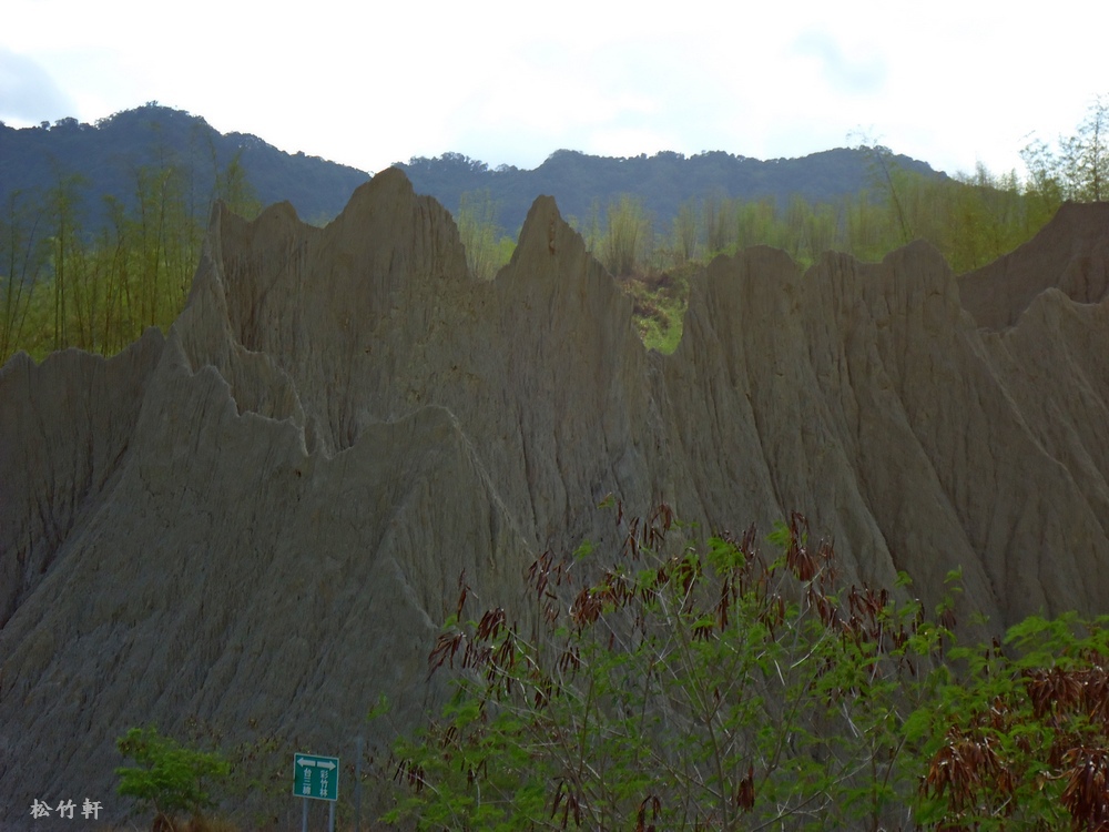 DSC04794 DSC04794
